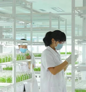 小黄片在线播放仪器
