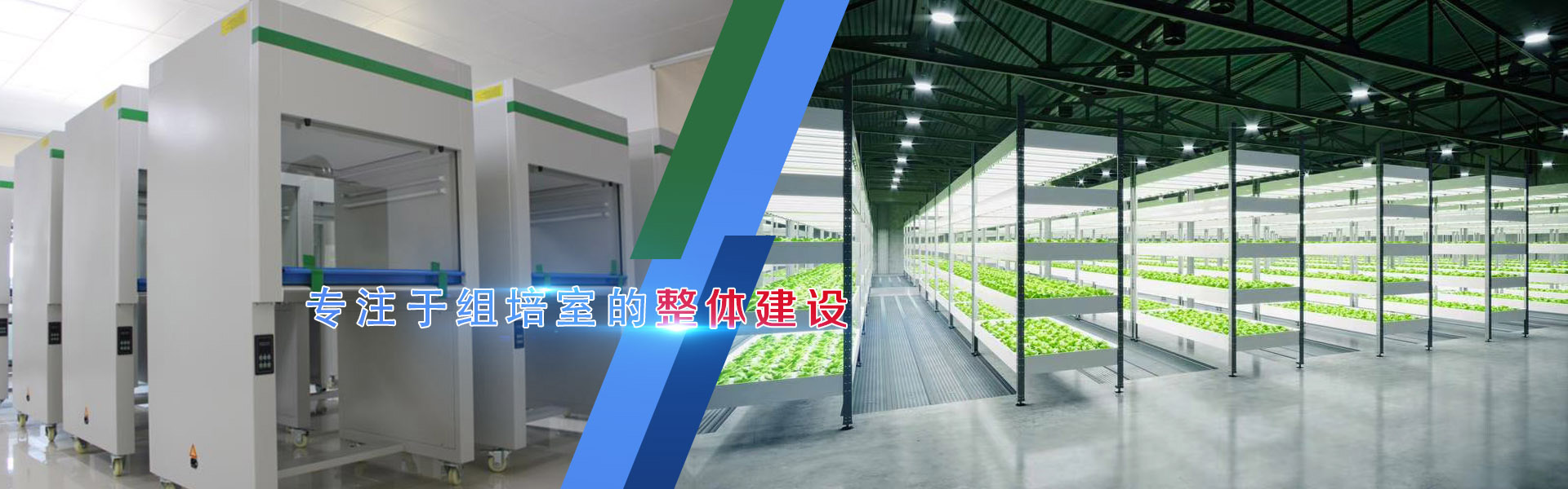 小黄片在线播放、小黄片在线播放架