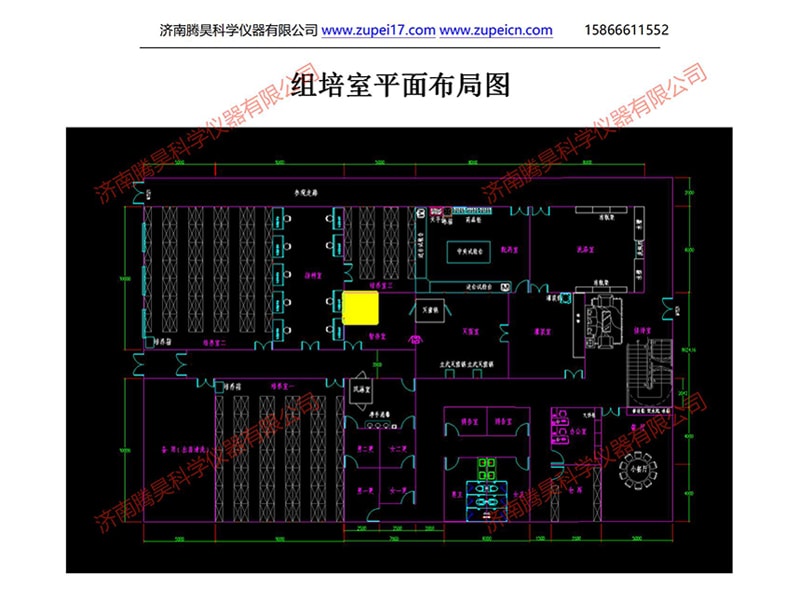 小黄片在线播放室
