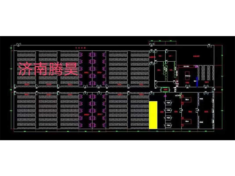 小黄片在线播放  小黄片在线播放室