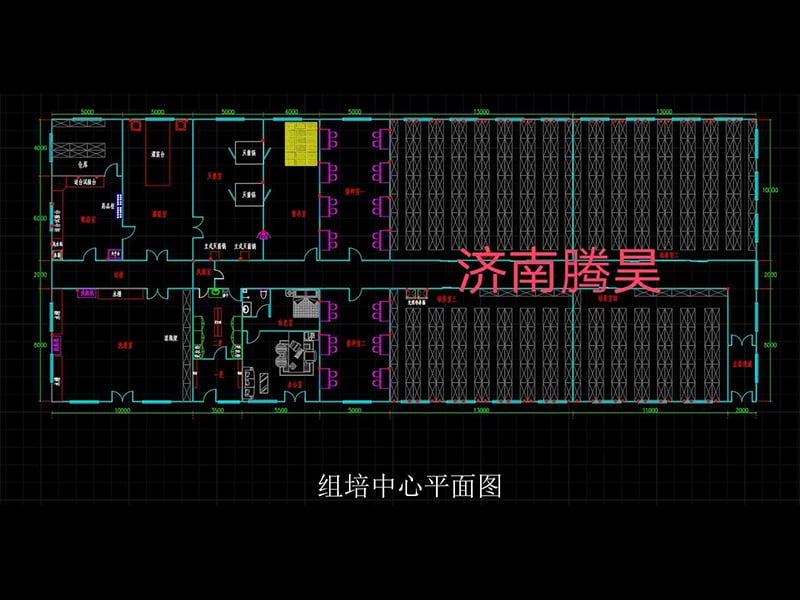 900平米小黄片在线播放室平面设计图