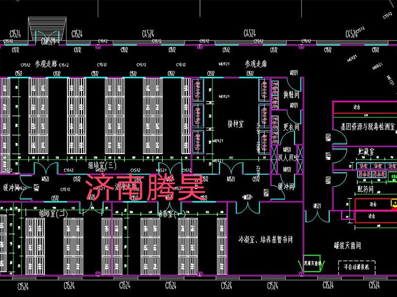 小黄片在线播放  小黄片在线播放室