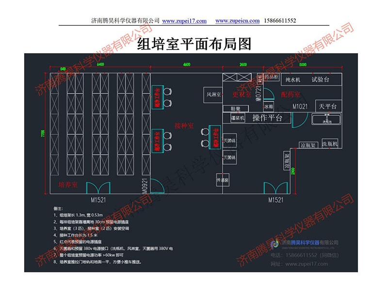 小黄片在线播放室