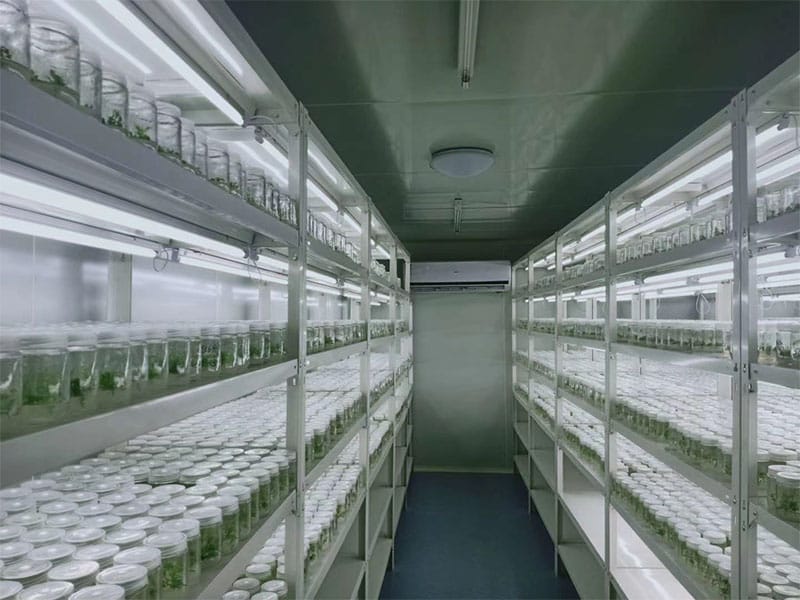 小黄片在线播放  小黄片在线播放架