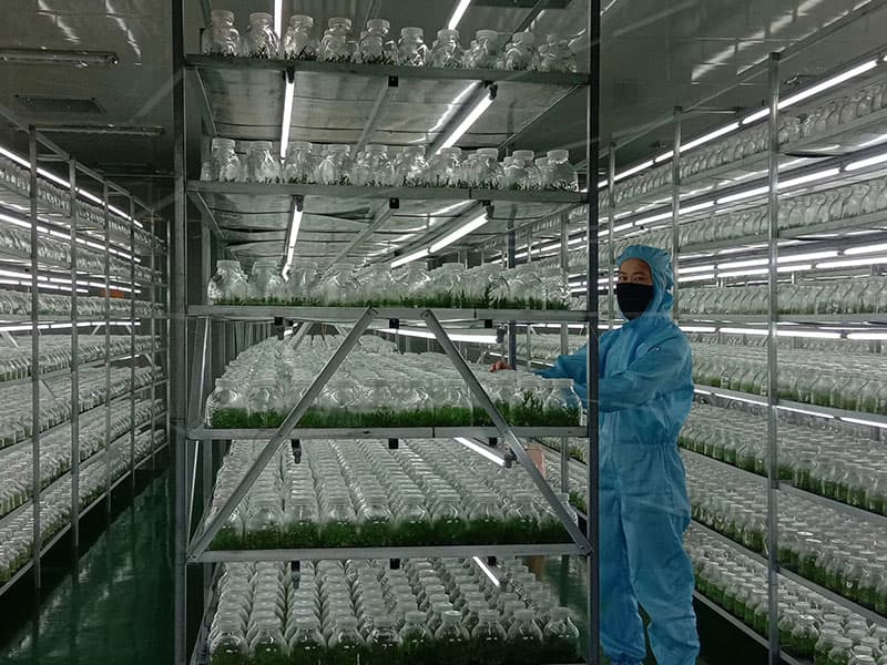 插扣式小黄片在线播放架