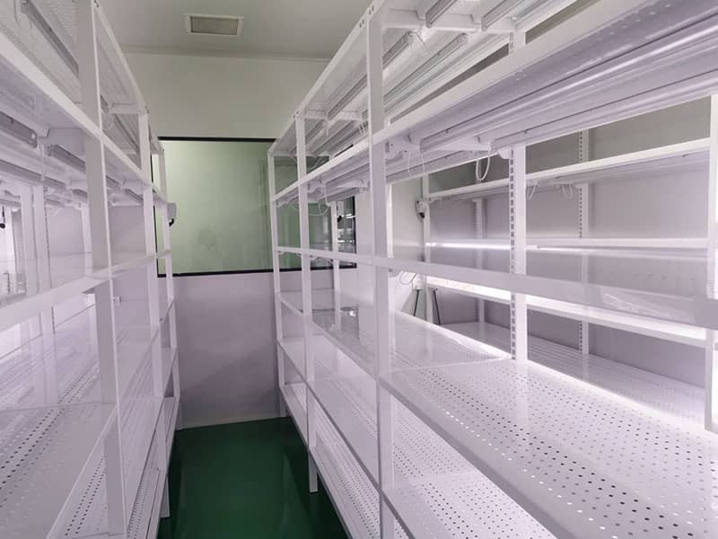小黄片在线播放  小黄片在线播放架