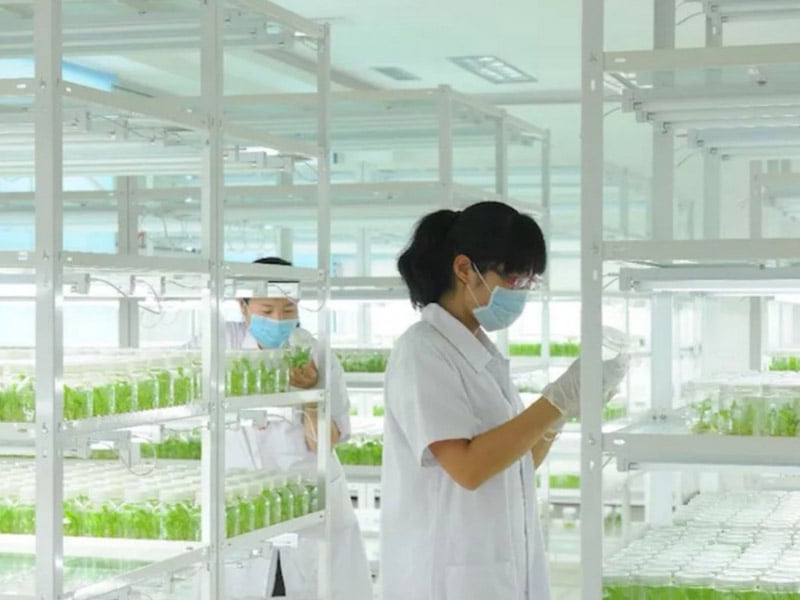 小黄片在线播放  小黄片在线播放架