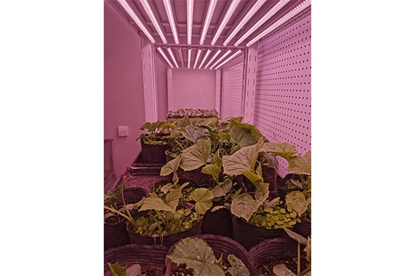 小黄片在线播放
