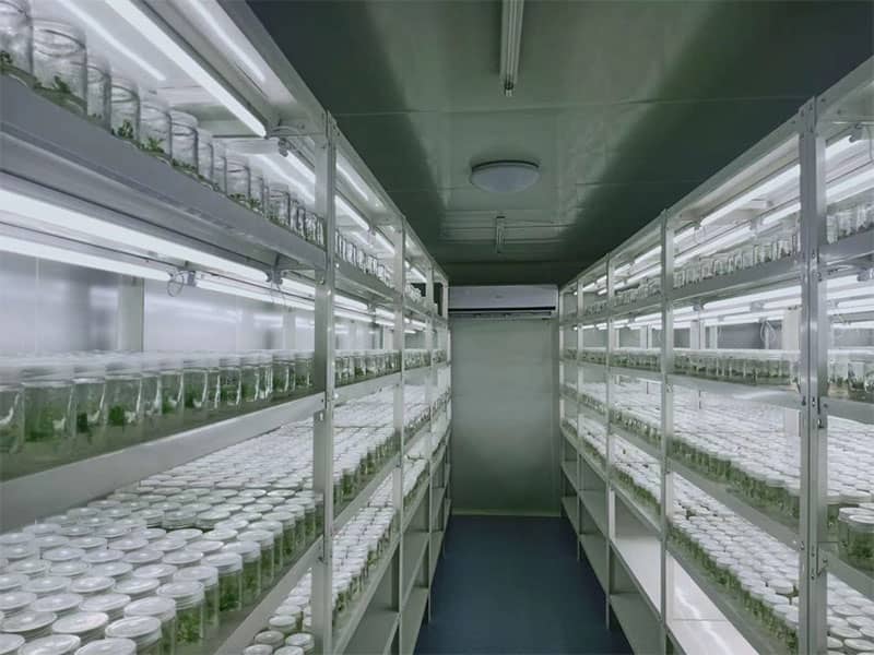 小黄片在线播放  小黄片在线播放架