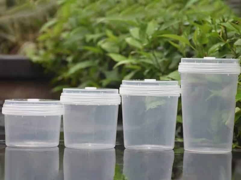 小黄片在线播放瓶